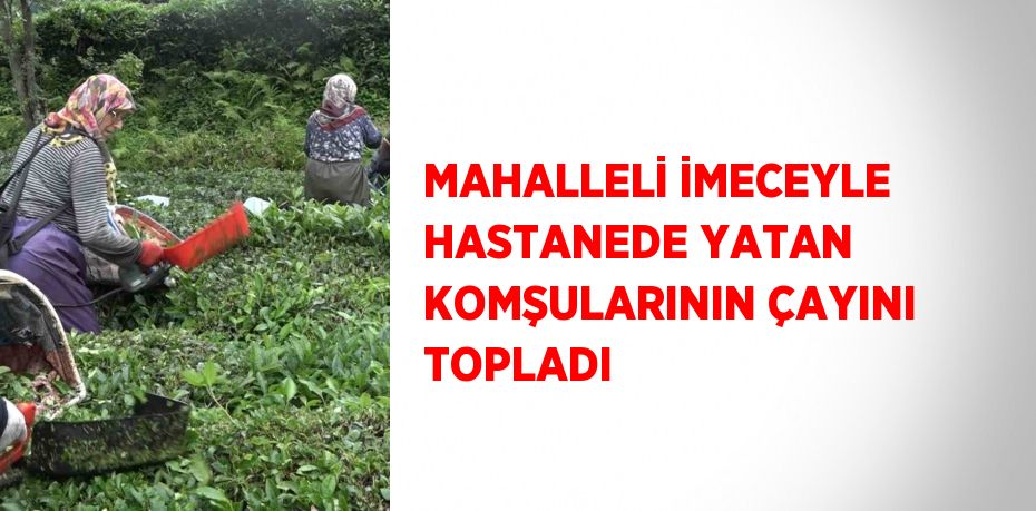 MAHALLELİ İMECEYLE HASTANEDE YATAN KOMŞULARININ ÇAYINI TOPLADI