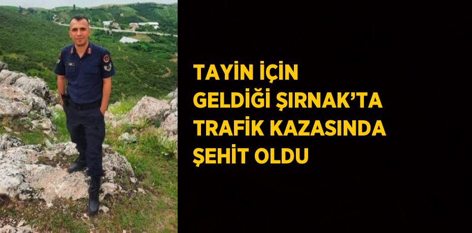 TAYİN İÇİN GELDİĞİ ŞIRNAK’TA TRAFİK KAZASINDA ŞEHİT OLDU