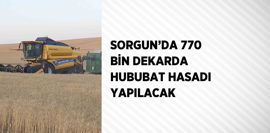 SORGUN’DA 770 BİN DEKARDA HUBUBAT HASADI YAPILACAK