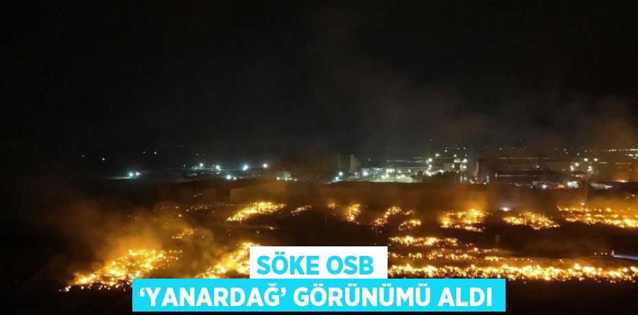 SÖKE OSB ‘YANARDAĞ’ GÖRÜNÜMÜ ALDI