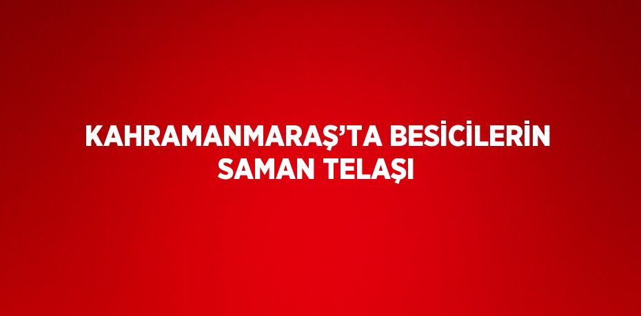 KAHRAMANMARAŞ’TA BESİCİLERİN SAMAN TELAŞI