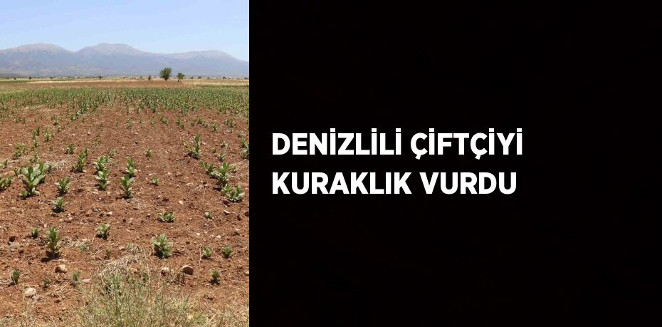 DENİZLİLİ ÇİFTÇİYİ KURAKLIK VURDU