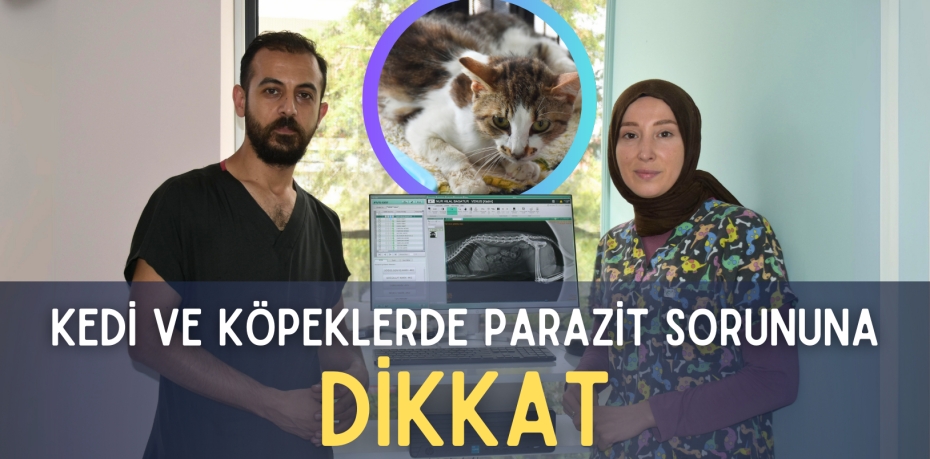 KEDİ VE KÖPEKLERDE  PARAZİT SORUNUNA DİKKAT