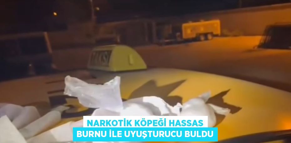 NARKOTİK KÖPEĞİ HASSAS BURNU İLE UYUŞTURUCU BULDU