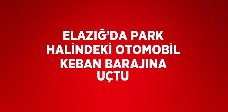 ELAZIĞ’DA PARK HALİNDEKİ OTOMOBİL KEBAN BARAJINA UÇTU