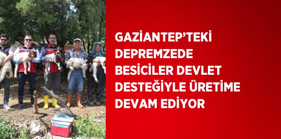 GAZİANTEP’TEKİ DEPREMZEDE BESİCİLER DEVLET DESTEĞİYLE ÜRETİME DEVAM EDİYOR