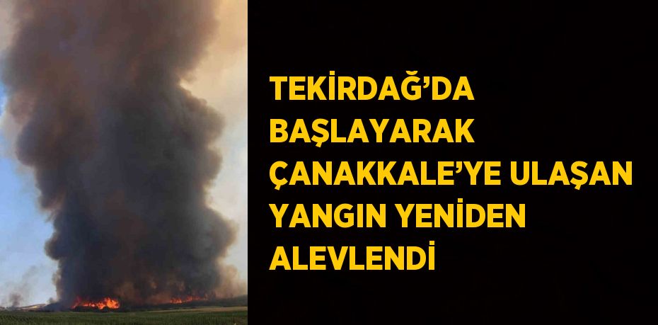 TEKİRDAĞ’DA BAŞLAYARAK ÇANAKKALE’YE ULAŞAN YANGIN YENİDEN ALEVLENDİ