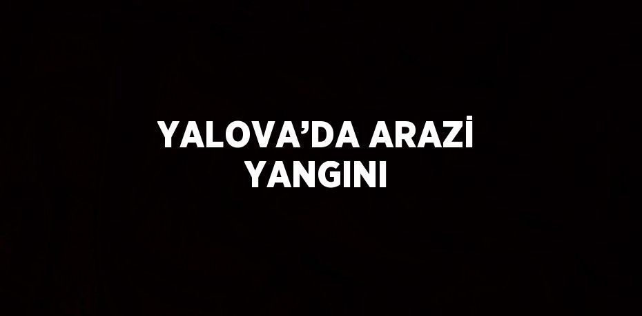 YALOVA’DA ARAZİ YANGINI