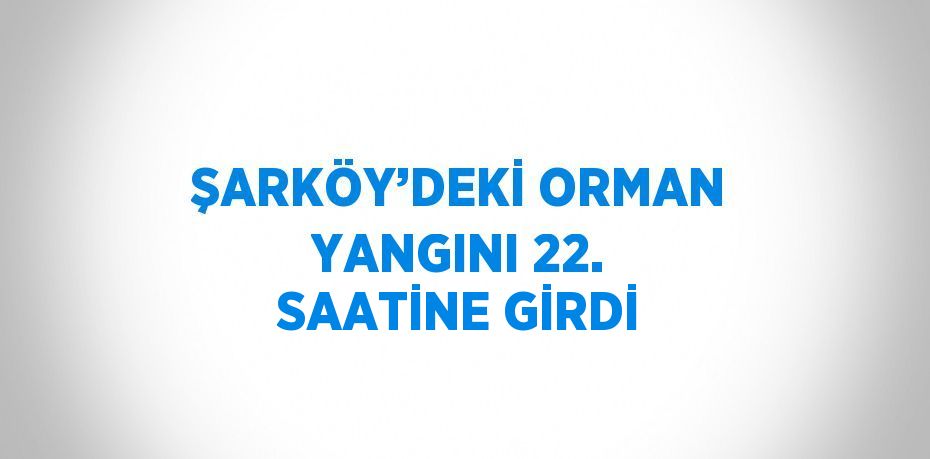 ŞARKÖY’DEKİ ORMAN YANGINI 22. SAATİNE GİRDİ