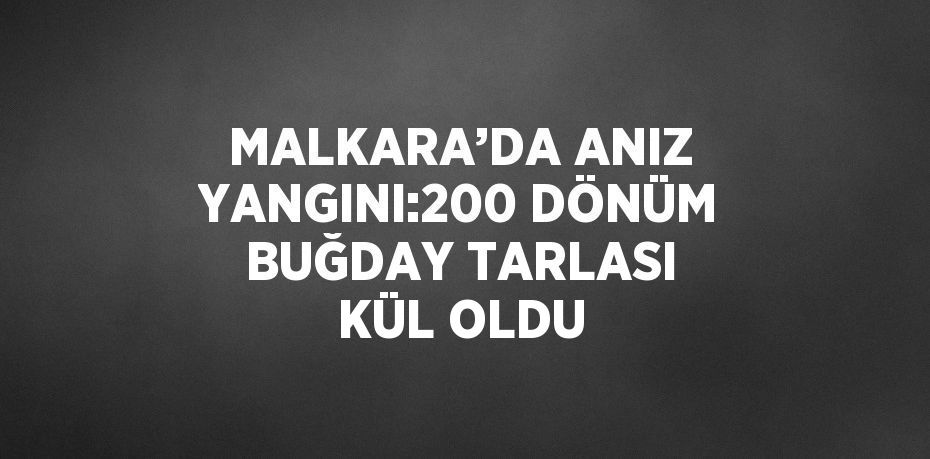 MALKARA’DA ANIZ YANGINI:200 DÖNÜM BUĞDAY TARLASI KÜL OLDU
