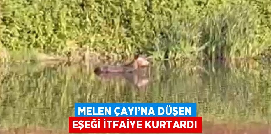 MELEN ÇAYI’NA DÜŞEN EŞEĞİ İTFAİYE KURTARDI