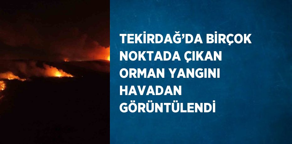 TEKİRDAĞ’DA BİRÇOK NOKTADA ÇIKAN ORMAN YANGINI HAVADAN GÖRÜNTÜLENDİ