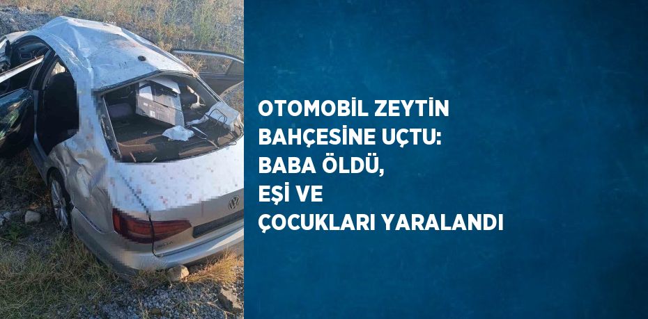 OTOMOBİL ZEYTİN BAHÇESİNE UÇTU: BABA ÖLDÜ, EŞİ VE ÇOCUKLARI YARALANDI