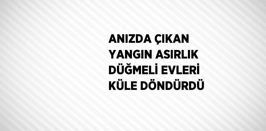 ANIZDA ÇIKAN YANGIN ASIRLIK DÜĞMELİ EVLERİ KÜLE DÖNDÜRDÜ