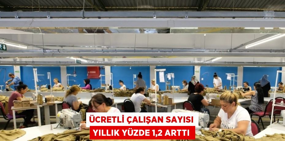 ÜCRETLİ ÇALIŞAN SAYISI YILLIK YÜZDE 1,2 ARTTI