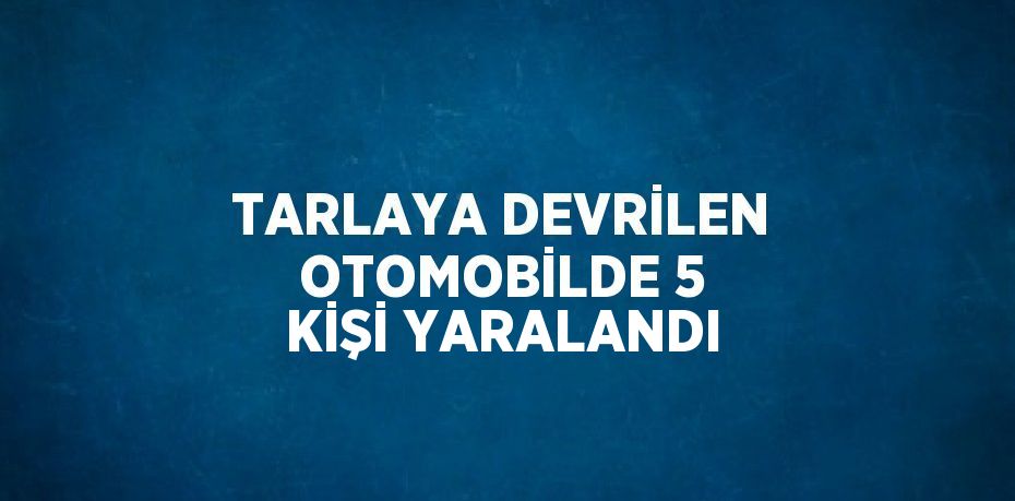 TARLAYA DEVRİLEN OTOMOBİLDE 5 KİŞİ YARALANDI
