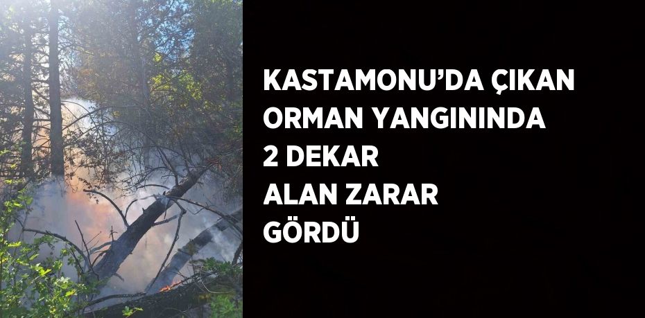 KASTAMONU’DA ÇIKAN ORMAN YANGININDA 2 DEKAR ALAN ZARAR GÖRDÜ