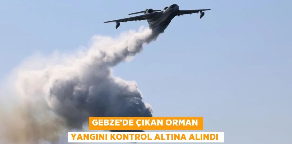 GEBZE’DE ÇIKAN ORMAN YANGINI KONTROL ALTINA ALINDI