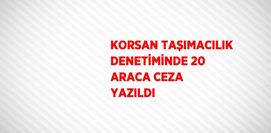 KORSAN TAŞIMACILIK DENETİMİNDE 20 ARACA CEZA YAZILDI