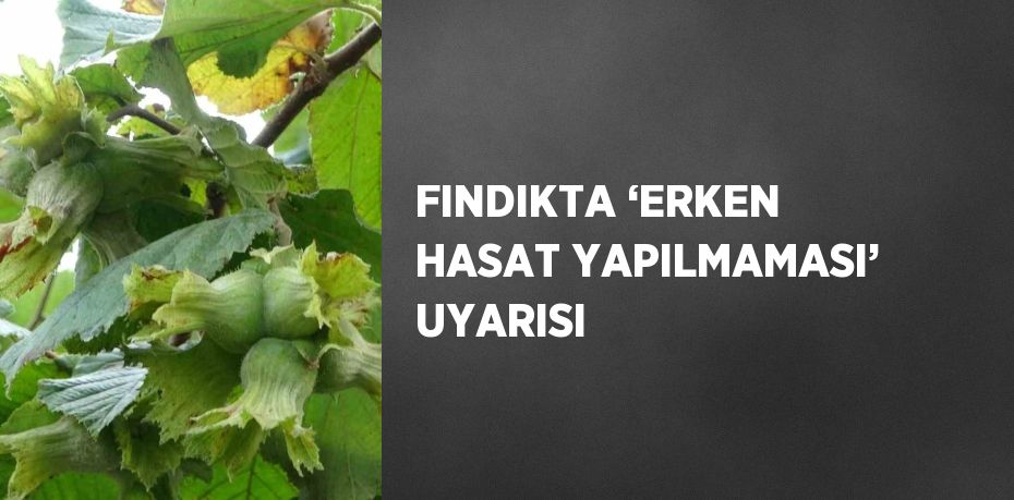 FINDIKTA ‘ERKEN HASAT YAPILMAMASI’ UYARISI