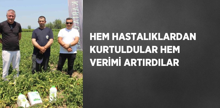 HEM HASTALIKLARDAN KURTULDULAR HEM VERİMİ ARTIRDILAR