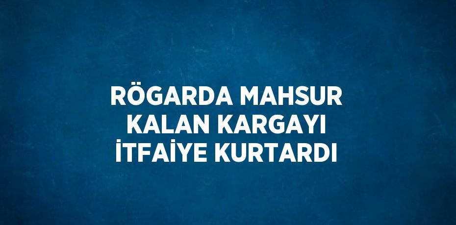 RÖGARDA MAHSUR KALAN KARGAYI İTFAİYE KURTARDI