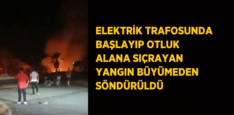 ELEKTRİK TRAFOSUNDA BAŞLAYIP OTLUK ALANA SIÇRAYAN YANGIN BÜYÜMEDEN SÖNDÜRÜLDÜ