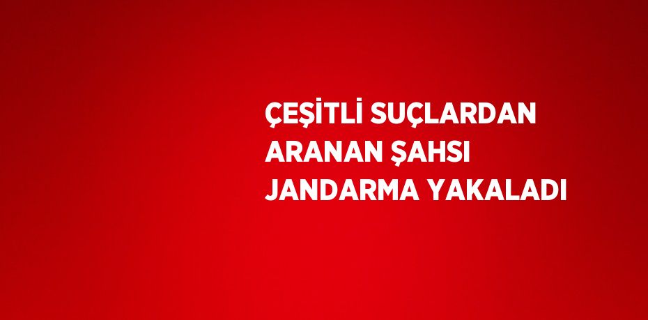 ÇEŞİTLİ SUÇLARDAN ARANAN ŞAHSI JANDARMA YAKALADI