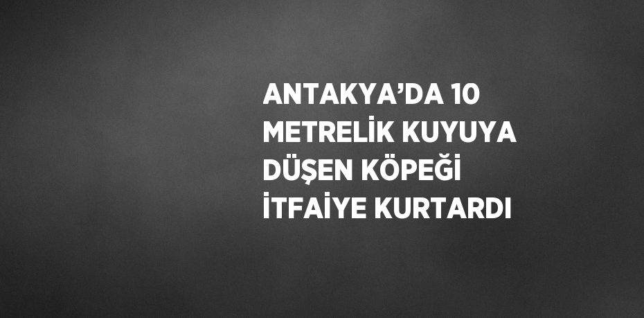 ANTAKYA’DA 10 METRELİK KUYUYA DÜŞEN KÖPEĞİ İTFAİYE KURTARDI