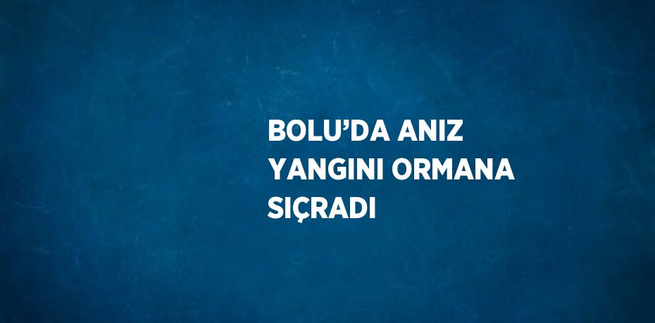 BOLU’DA ANIZ YANGINI ORMANA SIÇRADI