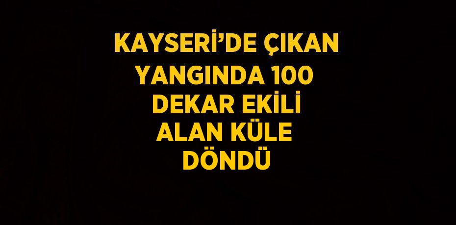 KAYSERİ’DE ÇIKAN YANGINDA 100 DEKAR EKİLİ ALAN KÜLE DÖNDÜ