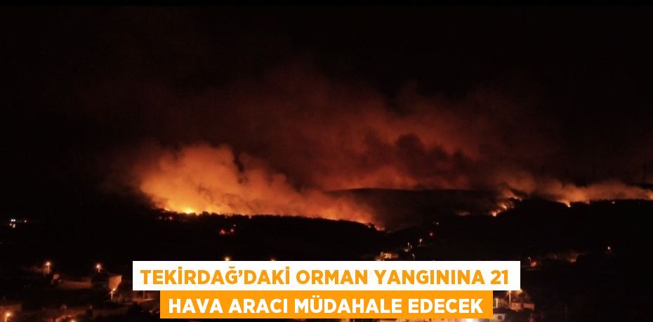 TEKİRDAĞ’DAKİ ORMAN YANGININA 21 HAVA ARACI MÜDAHALE EDECEK