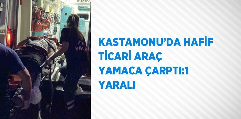 KASTAMONU’DA HAFİF TİCARİ ARAÇ YAMACA ÇARPTI:1 YARALI