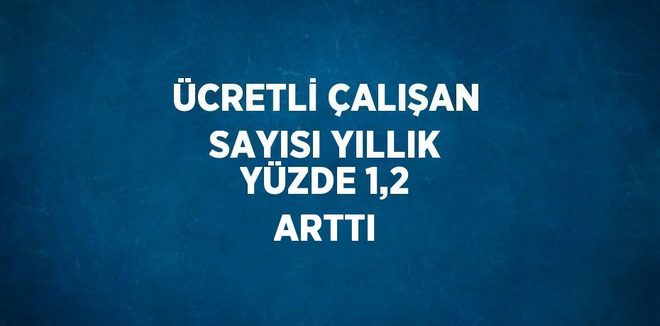 ÜCRETLİ ÇALIŞAN SAYISI YILLIK YÜZDE 1,2 ARTTI