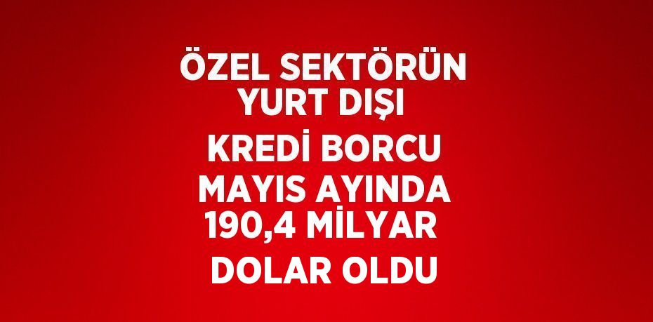 ÖZEL SEKTÖRÜN YURT DIŞI KREDİ BORCU MAYIS AYINDA 190,4 MİLYAR DOLAR OLDU