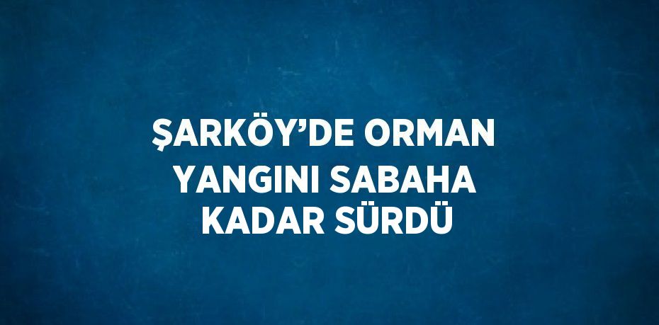 ŞARKÖY’DE ORMAN YANGINI SABAHA KADAR SÜRDÜ