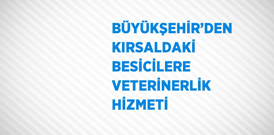 BÜYÜKŞEHİR’DEN KIRSALDAKİ BESİCİLERE VETERİNERLİK HİZMETİ