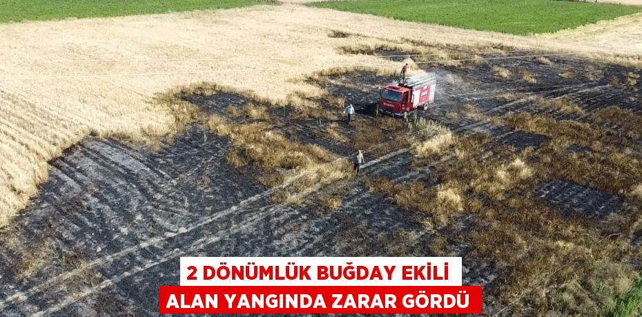 2 DÖNÜMLÜK BUĞDAY EKİLİ ALAN YANGINDA ZARAR GÖRDÜ