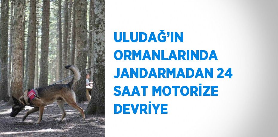 ULUDAĞ’IN ORMANLARINDA JANDARMADAN 24 SAAT MOTORİZE DEVRİYE