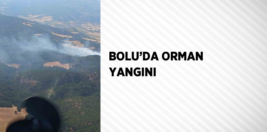 BOLU’DA ORMAN YANGINI
