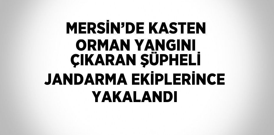 MERSİN’DE KASTEN ORMAN YANGINI ÇIKARAN ŞÜPHELİ JANDARMA EKİPLERİNCE YAKALANDI