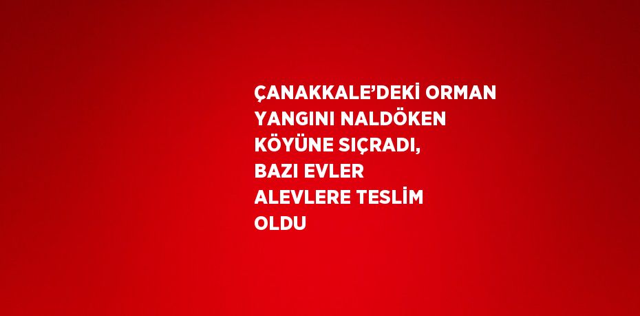ÇANAKKALE’DEKİ ORMAN YANGINI NALDÖKEN KÖYÜNE SIÇRADI, BAZI EVLER ALEVLERE TESLİM OLDU