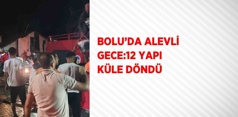 BOLU’DA ALEVLİ GECE:12 YAPI KÜLE DÖNDÜ