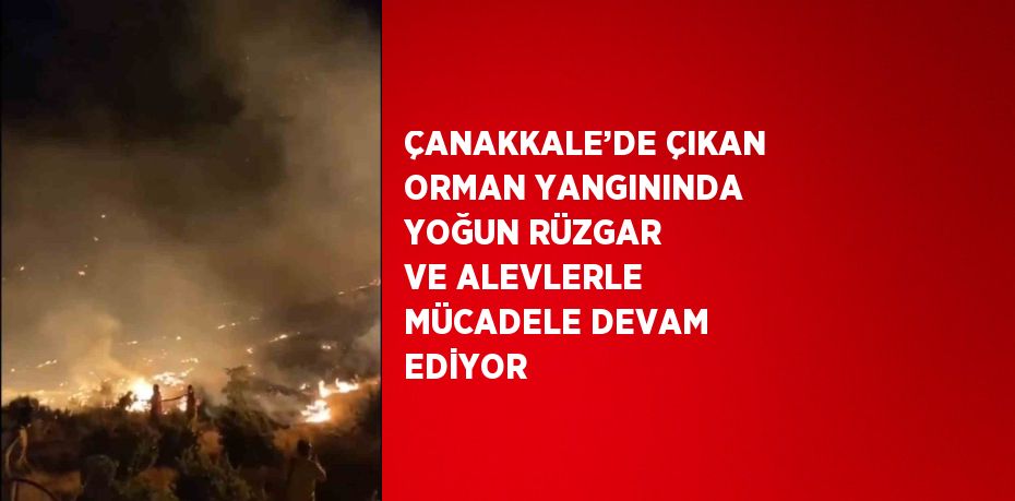 ÇANAKKALE’DE ÇIKAN ORMAN YANGININDA YOĞUN RÜZGAR VE ALEVLERLE MÜCADELE DEVAM EDİYOR