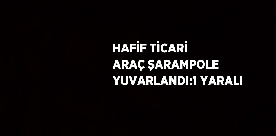 HAFİF TİCARİ ARAÇ ŞARAMPOLE YUVARLANDI:1 YARALI