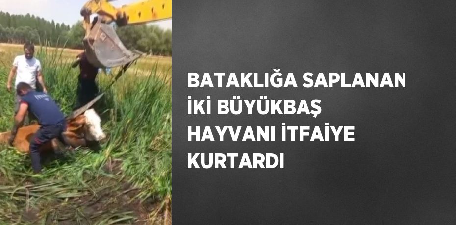 BATAKLIĞA SAPLANAN İKİ BÜYÜKBAŞ HAYVANI İTFAİYE KURTARDI