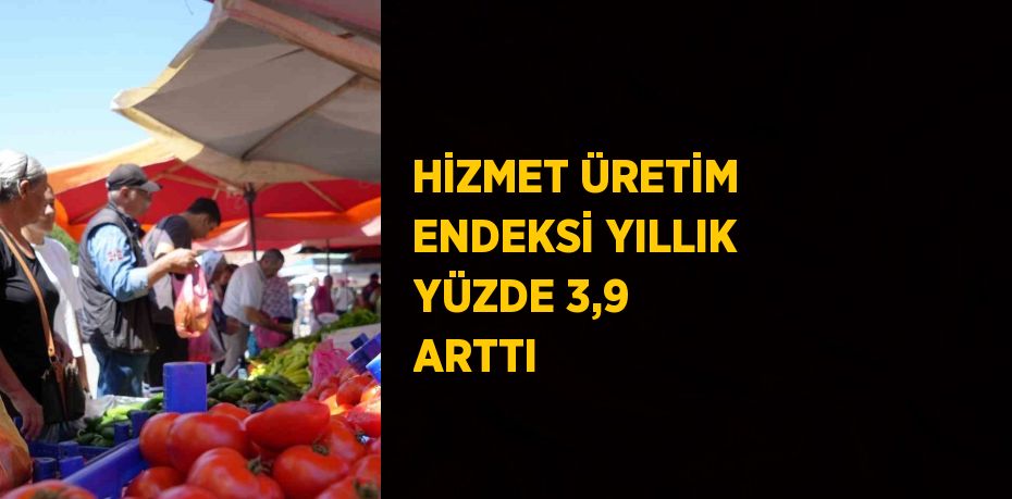 HİZMET ÜRETİM ENDEKSİ YILLIK YÜZDE 3,9 ARTTI