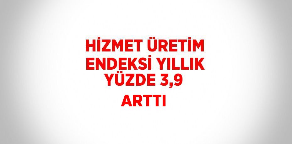 HİZMET ÜRETİM ENDEKSİ YILLIK YÜZDE 3,9 ARTTI