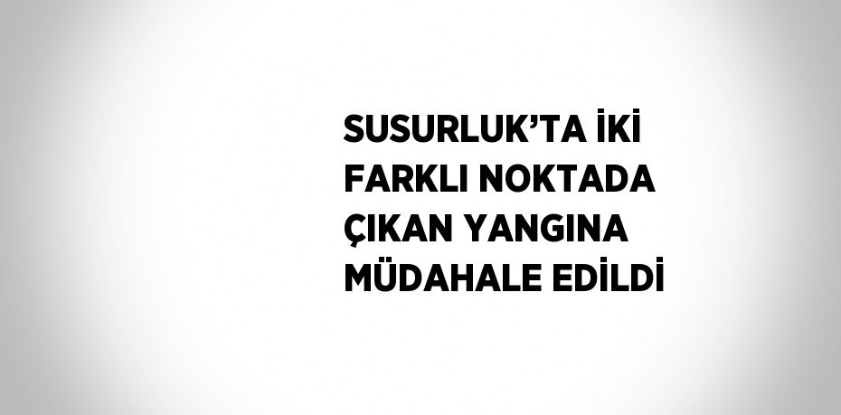 SUSURLUK’TA İKİ FARKLI NOKTADA ÇIKAN YANGINA MÜDAHALE EDİLDİ