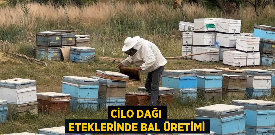 CİLO DAĞI ETEKLERİNDE BAL ÜRETİMİ